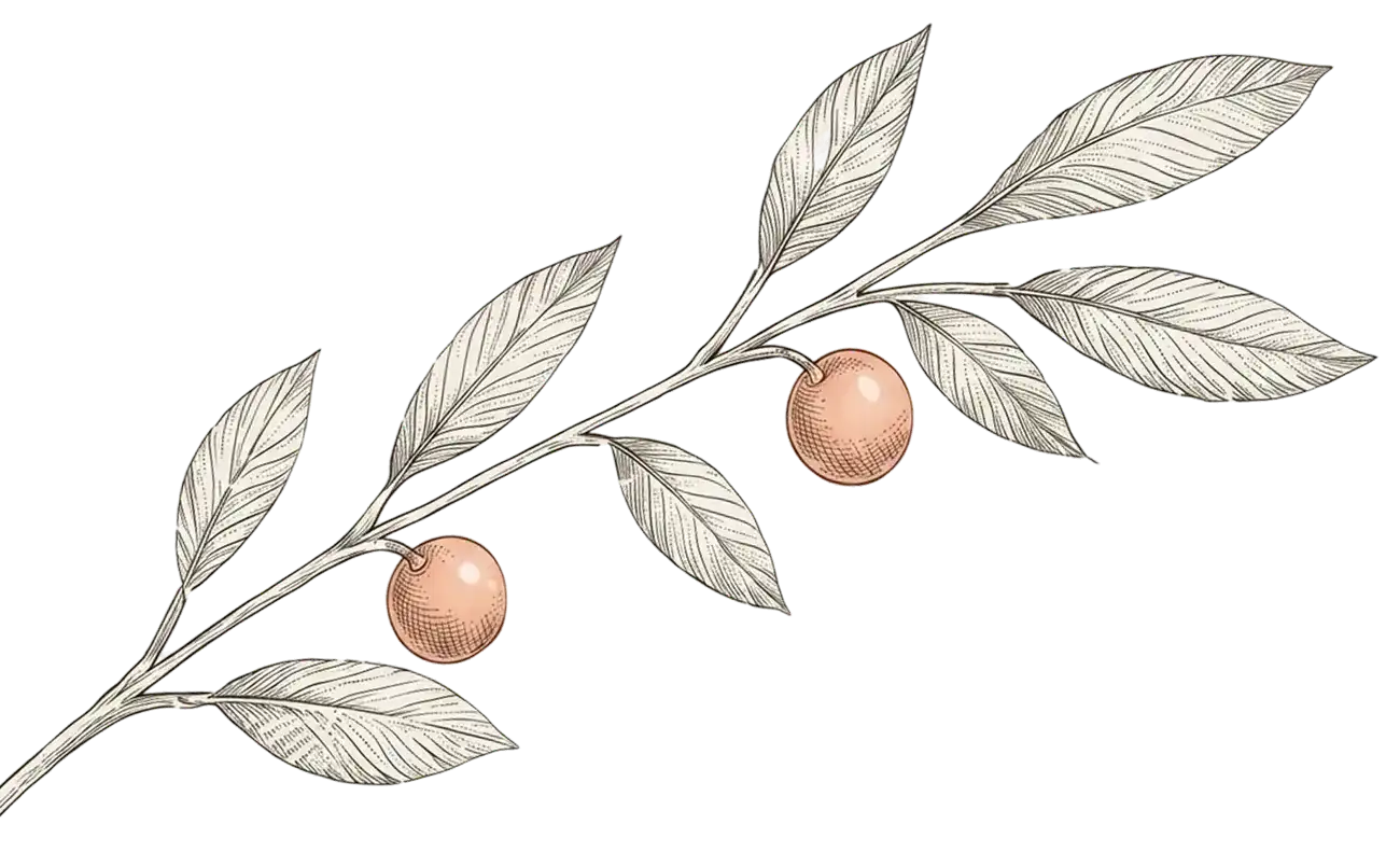 Tree-Right